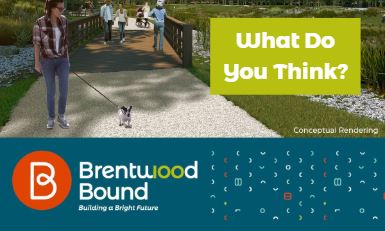 Brentwood Bound Feedback