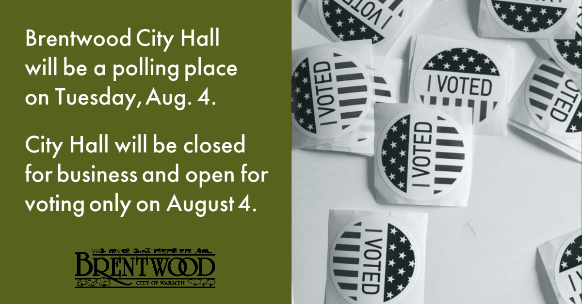 Voting Only August 4, 2020