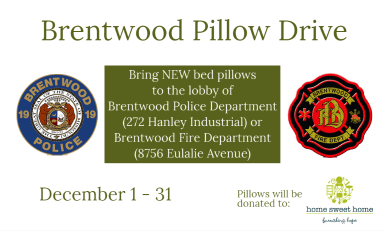 Pillow Drive 2020