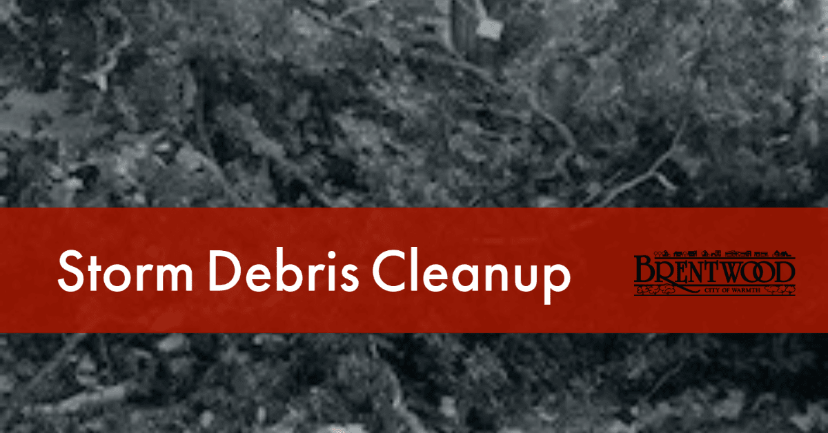 Storm Debris Cleanup