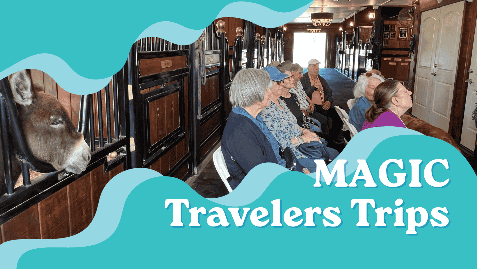 MAGIC Travelers Trips