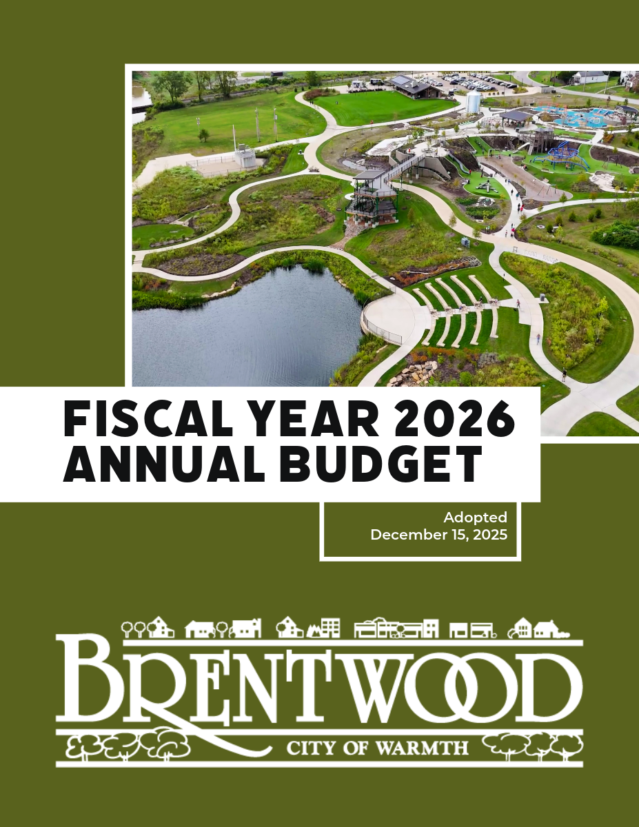 Budget book cover (1)